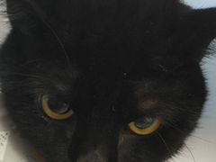 -荔康动物医院(康王北路店)