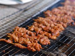 -吴淞炮台湾湿地森林公园烧烤区