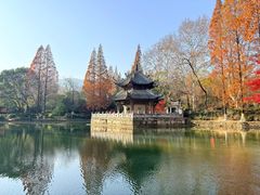 -习家池