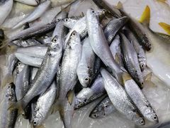 -阳江市第一市场