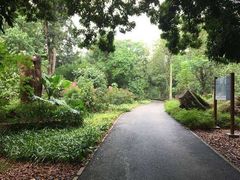 -南宁良凤江国家森林公园