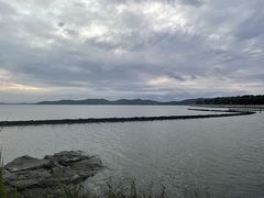 -上海市保健医疗中心