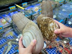 -明记海鲜大排档(巽寮湾店)