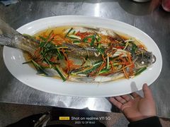 -柘林湖生态鱼馆