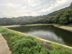-紫金山天文台