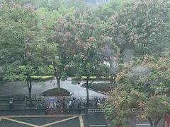 -新白鹿餐厅(城西银泰城店)