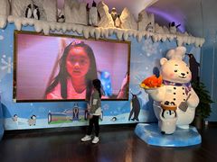 -帝企鹅自助餐厅•儿童岛•真企鹅(长隆企鹅酒店)