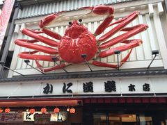 -蟹道乐(道顿堀本店)