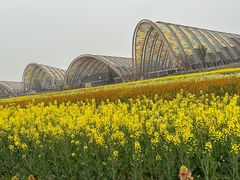 -中国天府农业博览园