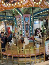 -卡通尼·Safari非洲探索乐园·生日会(金桥国际商业广场店)