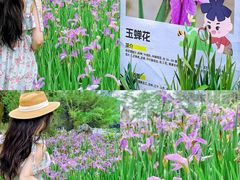 -广西壮族自治区药用植物园