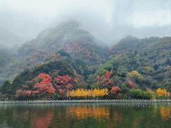 -秦岭终南山世界地质公园翠华山景区
