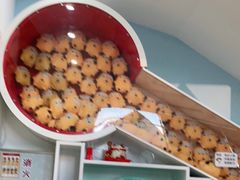 -极橙儿童齿科矫正中心(奥城店)