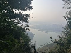 -铁山坪森林公园