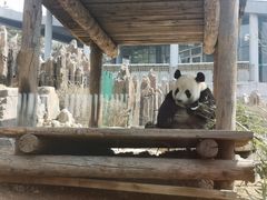 -大连森林动物园