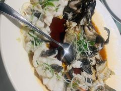 石斑鱼-衡山汇·高级粤菜(霄云路店)