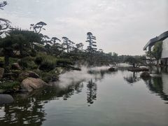 -罗红摄影艺术馆