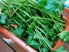 香菜-专业跳跳蛙·彭彭老铺(步行街店)