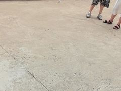 -移动谜城·大笨象密室逃脱(五棵松店)