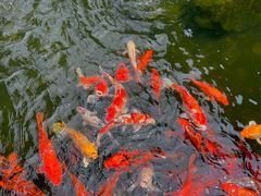 -阳春市花园酒店