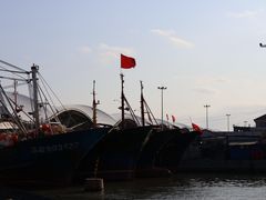-吕四渔港