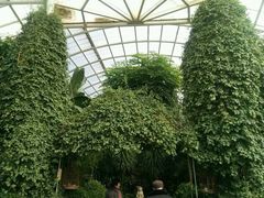 -龙口南山旅游景区