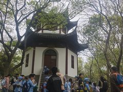 -上海佘山国家森林公园天马山园