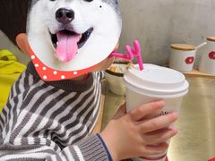 -龍堂蟹黄小笼包(德思勤四季汇店)