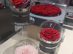 -ROSEONLY诺誓(青岛万象城店)