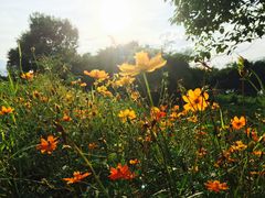 -福建鲤鱼洲酒店