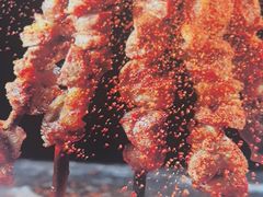 -西域美食(西直门南小街店)
