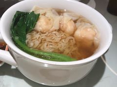-南枝记