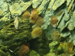 -多彩贵州城极地海洋世界