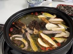 -蘑统田下·野生菌火锅