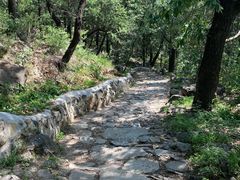 -阳台山自然风景区