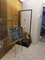 点击看大图 -3AM·S HAIR SALON烫发染发接发