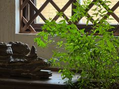 -旺角小渔村·海肠捞饭开创者(环山路店)