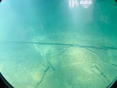 -白鹤梁水下博物馆