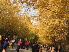 -辽宁大学(崇山校区)