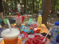 -铁山坪森林公园