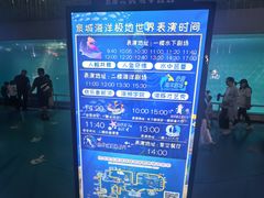 -泉城欧乐堡海洋极地世界