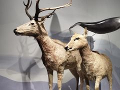 -中国湿地博物馆