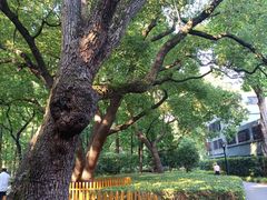 -徐家汇源景区-衡山公园