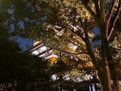 -范蠡湖公园