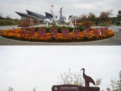 -盐城丹顶鹤湿地生态旅游区