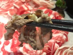 -快乐小羊·内蒙牛羊肉火锅(流花中心店)