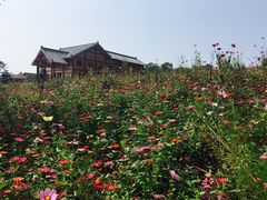 -梁子湖东篱老屋生态庄园