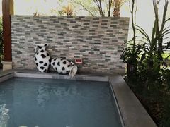 -福州贵安·温泉世界