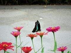 -白塘生态植物园