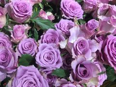 -何兮花店·气球派对鲜花店(马桥银春路万科城店)